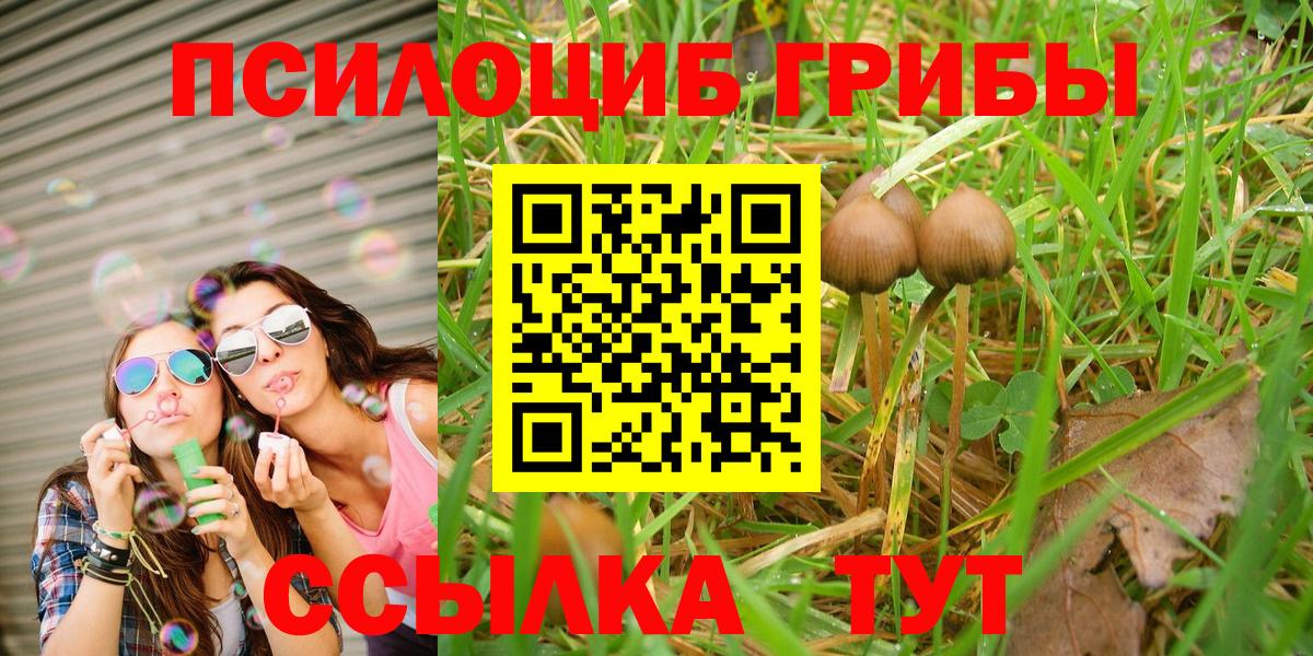 Галлюциногенные грибы Psilocybe Лесной